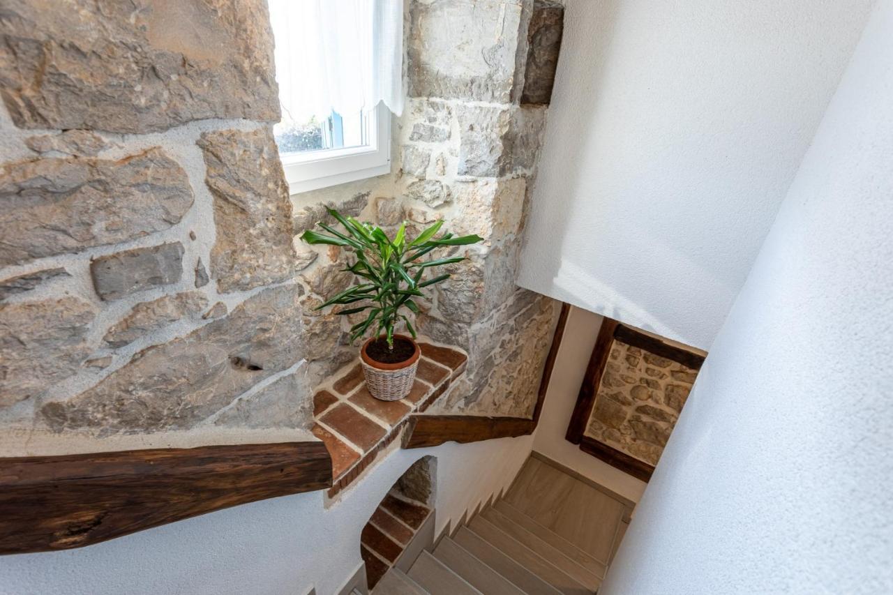 Elm Villa Milohnici